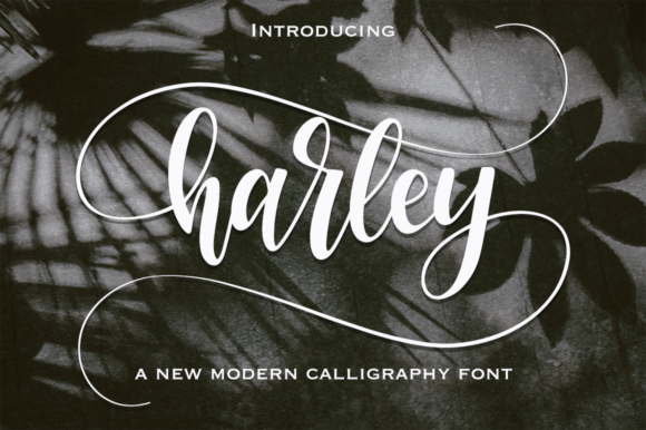 Discovering Harley: The Creative Font for Modern Branding