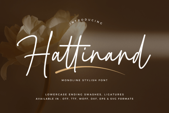 Hattinand: The Sleek Script for Modern Elegance